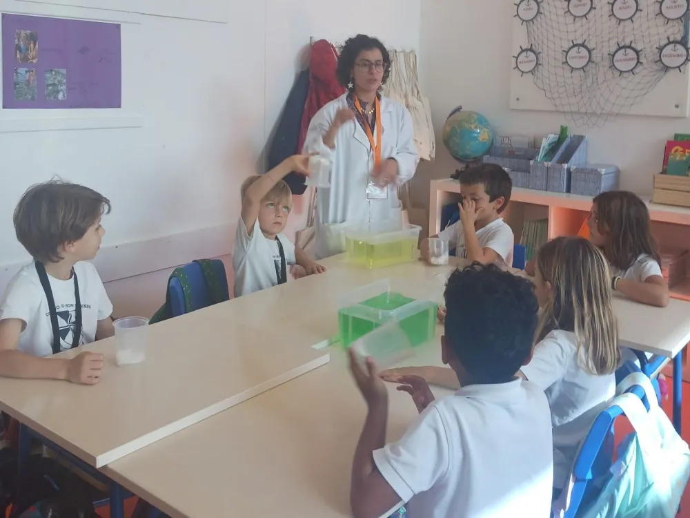 1º Ciclo | WhyLab